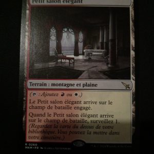 Petit Salon Élégant Meurtres Au Manoir Karlov