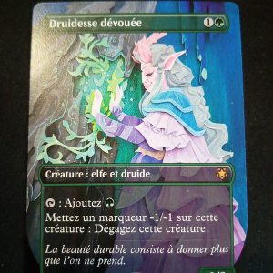 Druidesse Dévouée Invités D'honneur