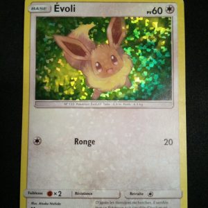 Evoli 40/40 Holo Macdonald 2019