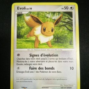 Evoli 59/111 Rivaux Émergeants