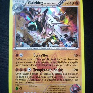 Galeking 14/34 Holo Double Danger