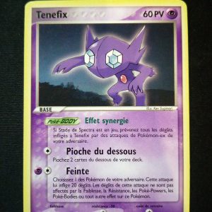 Tenefix 22/108 Ex Gardiens Du Pouvoir