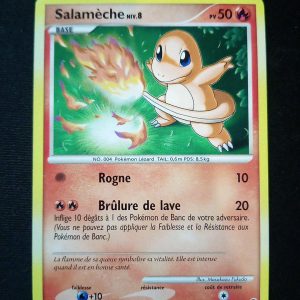 Salamèche 82/132 Merveilles Secrètes