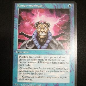 Remue-Méninges Ere Glaciaire