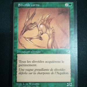Slivoide Cornu Tempête