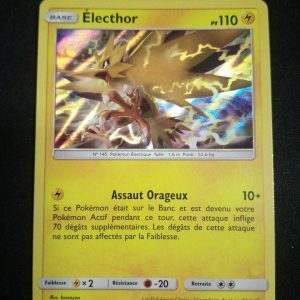 Électhor 40/181 Holo Duo De Choc