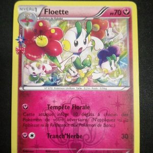Floette Rc18/Rc32 Générations