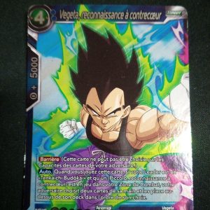 Végéta Reconnaissance A Contrecoeur Tb2-025 Foil