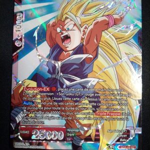 Son Goku Super Sayen 3 Limite Pulvérisée sd2-002
