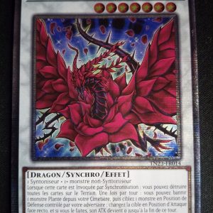 Dragon Rose Noire tn23-fr014