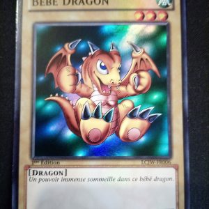 Bébé Dragon lcjw-fr006