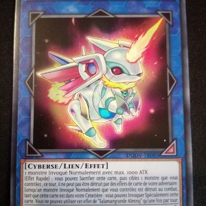 Salamangrande Almiraj Duov-fr085