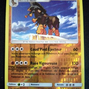 Bourrinos 78/147 Reverse Ombres Ardentes