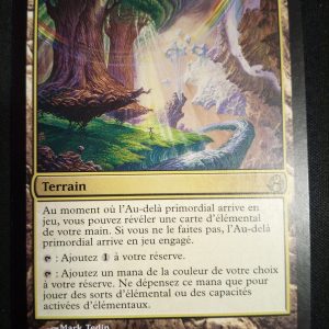 Au-delà Primordial Leveciel