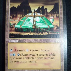 Laboratoire Du Projet Jusant Carnage