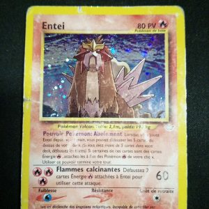 Entei 6/64 Holo Neo Révélation