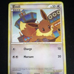 Evoli 47/90 Indomptable