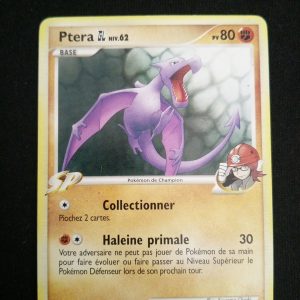 Ptera 55/111 Rivaux Émergeants