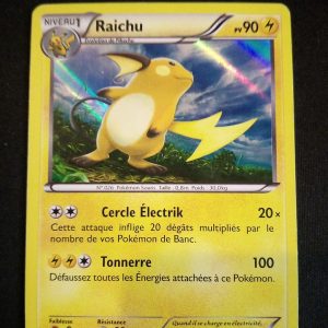 Raichu 43/146 Holo XY