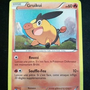 Gruikui Bw07 Holo Promo Noir Et Blanc