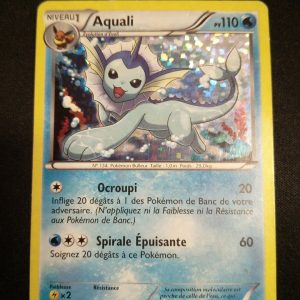 Aquali 3/12 Holo Macdonald 2013