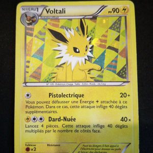 Voltali Bw91 Holo Promo Noir Et Blanc
