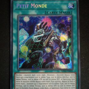 Petit Monde Mp22-fr225