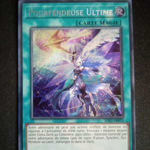 Pourfendeuse Ultime Ra02-fr070