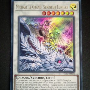 Michael Le Grand Seigneur Lumière Sdli-fr036