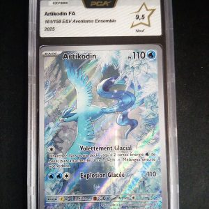 Artikodin 161/159 Aventures Ensemble PCA 9.5