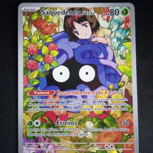 Saquedeneu 218/217 Héros Transcendants