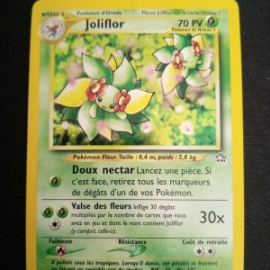 Joliflor 3/111 Holo Neo Genesis
