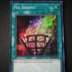 Feu Ardent Ra03-fr073