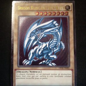 Dragon Blanc Aux Yeux Bleus Op28-fr001