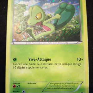 Arcko 1/12 Holo Macdonald 2014