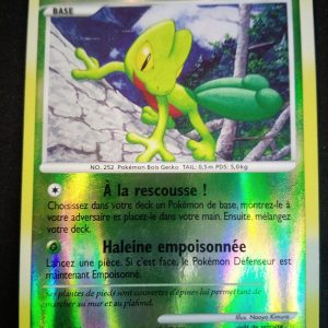 Arcko 79/100 Reverse Tempête