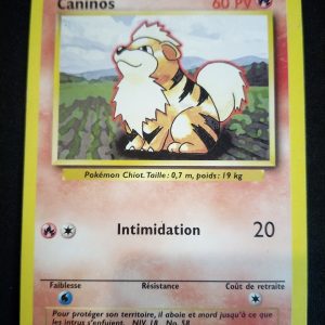 Caninos 28/102 Set De Base