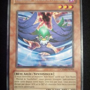 Aile Noire Mistral Le Tourbillon crms-fr008