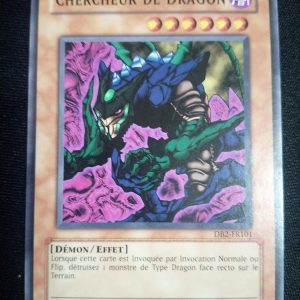 Chercheur De Dragon db2-fr101