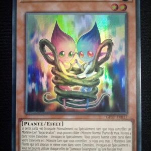 Jumeaux Solairgraine gftp-fr017