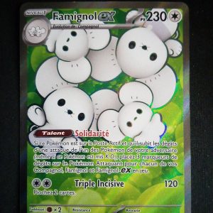 Famignol Ex 233/182 Faille Paradoxe