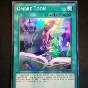 Ombre Toon Drl2-fr025