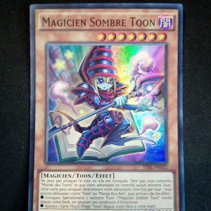 Magicien Sombre Toon Tdil-fr032