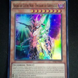 Soldat Du Lustre Noir Émissaire Du Crépuscule Ap08-fr008