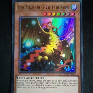 Apex Aviaire De La Vallée De Brume Shva-fr045