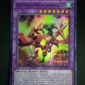 Gaïa Le Dragon Champion Galopant Au Ciel Mil1-fr010