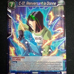 C-17 Renversant La Donne Db2-036