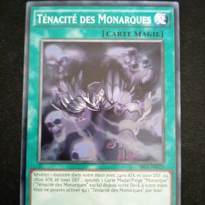 Ténacité Des Monarques Sr01-fr029