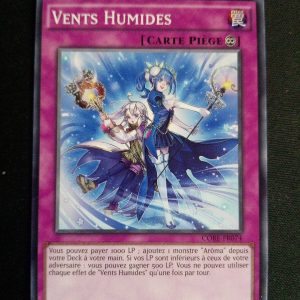 Vents Humides Core-fr074