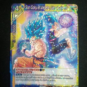 Son Goku Et Végéta Liens Saiyans Db1-089